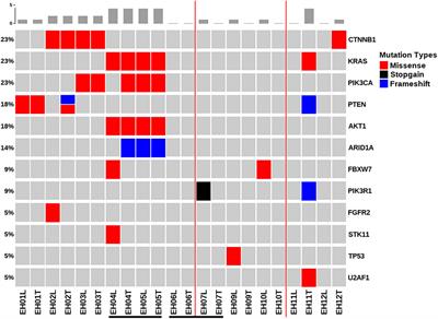Massively parallel sequencing of endometrial lavage specimens for the detection of cancer-associated mutations in atypical and non-atypical endometrial hyperplasia